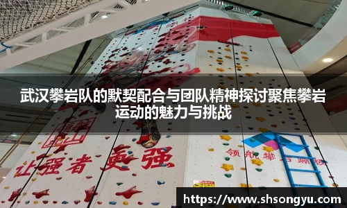 xc体育